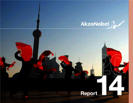 Report14 Akzonobel 2014 at a Glance