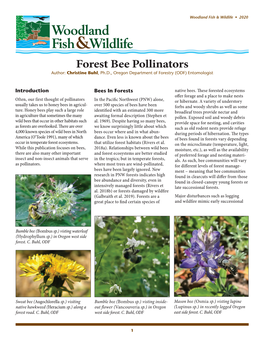 Forest Bee Pollinators Author: Christine Buhl, Ph.D., Oregon Department of Forestry (ODF) Entomologist