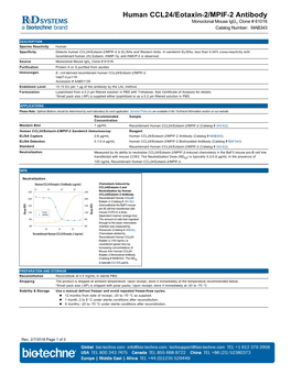 Human CCL24/Eotaxin-2/MPIF-2 Antibody
