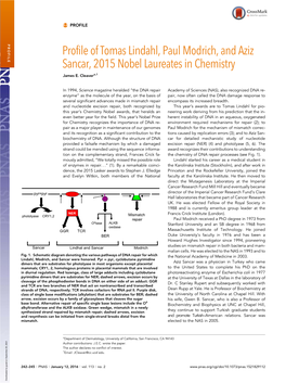 Profile of Tomas Lindahl, Paul Modrich, and Aziz Sancar, 2015 Nobel Laureates in Chemistry