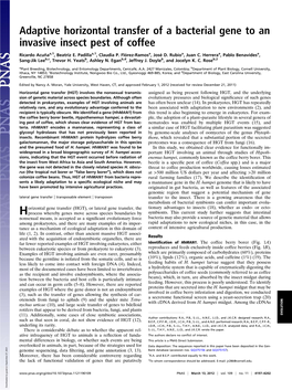 Adaptive Horizontal Transfer of a Bacterial Gene to an Invasive Insect Pest of Coffee