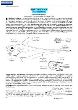 Order GADIFORMES MACROURIDAE Grenadiers (Rattails) by T