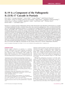 IL-19 Is a Component of the Pathogenetic IL-23/IL-17 Cascade