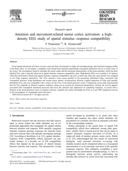 Density EEG Study of Spatial Stimulus–Response Compatibility P