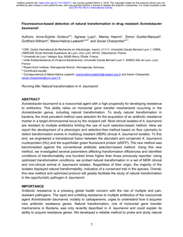 Fluorescence-Based Detection of Natural Transformation in Drug Resistant Acinetobacter Baumannii