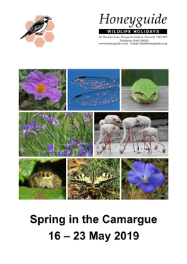 Camargue 16 – 23 May 2019