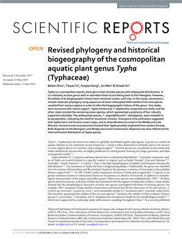 Revised Phylogeny and Historical Biogeography of The