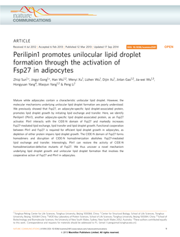 Perilipin1 Promotes Unilocular Lipid Droplet Formation Through the Activation of Fsp27 in Adipocytes