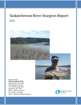 Saskatchewan River Sturgeon Report 2012