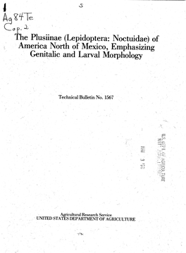 The Plusiinae (Lepidoptera: Noctuidae) of America North of Mexico, Emphasizing Genitalic and Larval Morphology