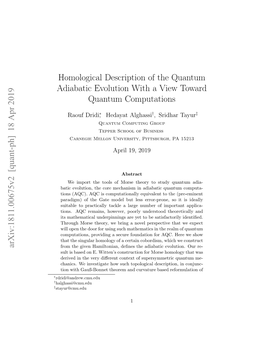 Homological Description of the Quantum Adiabatic Evolution with a View Toward Quantum Computations