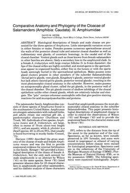 Comparative Anatomy and Phylogeny of the Cloacae of Salamanders (Amphibia: Caudata)