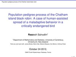 Population Pedigree Process of the Chatham Island Black Robin: a Case of Human-Assisted Spread of a Maladaptive Behavior in a Critically Endangered Bird