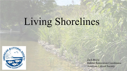 Living Shorelines