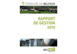 Rapport De Gestion 2019
