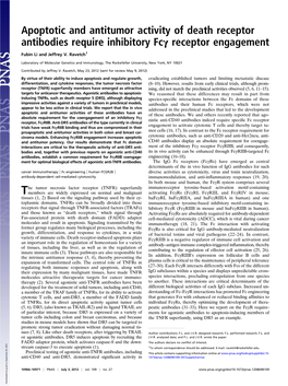 Apoptotic and Antitumor Activity of Death Receptor Antibodies Require Inhibitory Fcγ Receptor Engagement