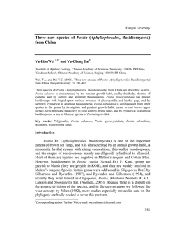 Three New Species of Postia (Aphyllophorales, Basidiomycota) from China