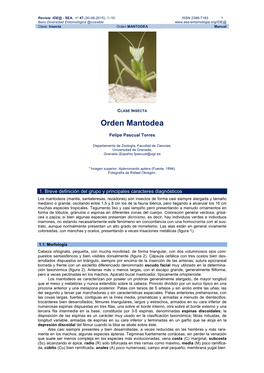 Orden MANTODEA Manual