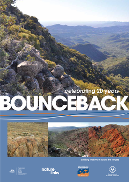 Bounceback 20 Year Report