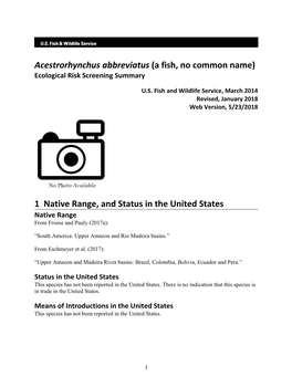 Acestrorhynchus Abbreviatus (A Fish, No Common Name) Ecological Risk Screening Summary