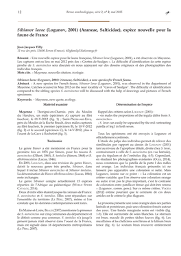 Sibianor Larae (Logunov, 2001) (Araneae, Salticidae), Espèce Nouvelle Pour La Faune De France