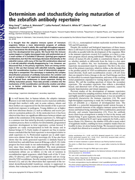 Determinism and Stochasticity During Maturation of the Zebrafish Antibody