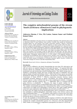 The Complete Mitochondrial Genome of the Stream Loach