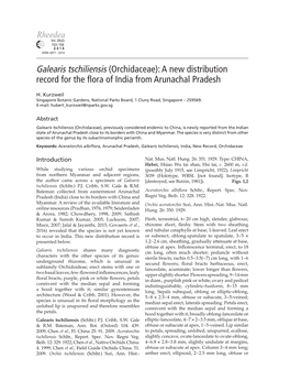 Galearis Tschiliensis (Orchidaceae): a New Distribution Record for the Flora of India from Arunachal Pradesh
