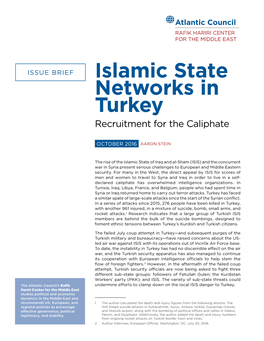 Islamic State Networks in Turkey Recruitment for the Caliphate