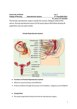 The Female Reproductive Organs Include the Ovaries, Fallopian Tubes & the Uterus