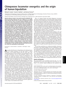 Chimpanzee Locomotor Energetics and the Origin of Human Bipedalism