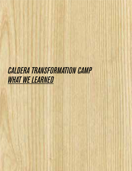 Caldera Transformation Camp What We Learned We Can Help You, and You Can Help Us Lead