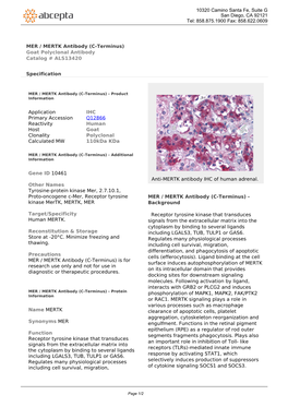 MER / MERTK Antibody (C-Terminus) Goat Polyclonal Antibody Catalog # ALS13420