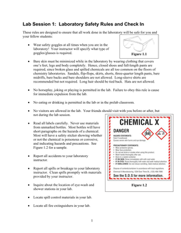 Lab Session 1: Laboratory Safety Rules and Check In