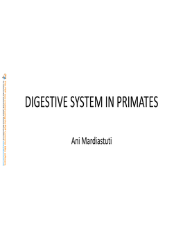 Digestive System in Primates