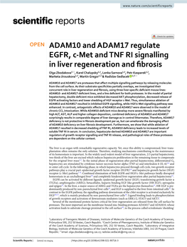 ADAM10 and ADAM17 Regulate EGFR, C-Met and TNF RI Signalling In