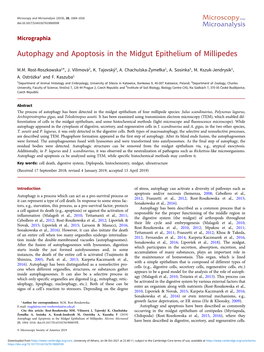 Autophagy and Apoptosis in the Midgut Epithelium of Millipedes