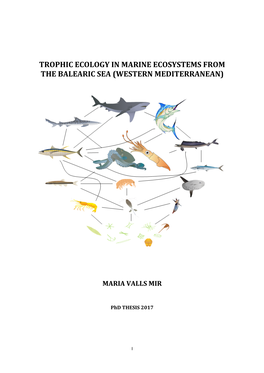 Trophic Ecology in Marine Ecosystems from the Balearic Sea (Western Mediterranean)