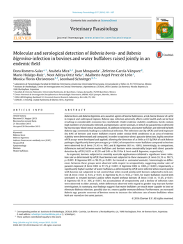 Molecular and Serological Detection of Babesia Bovis- and Babesia