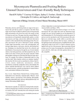 Myxomycete Plasmodia and Fruiting Bodies: Unusual Occurrences and User-Friendly Study Techniques Harold W