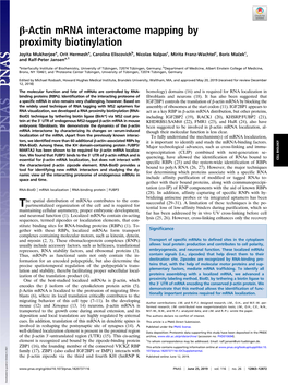 Β-Actin Mrna Interactome Mapping by Proximity Biotinylation