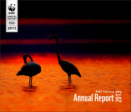 Annual Report 2013.Pdf