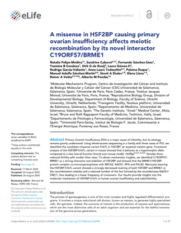 A Missense in HSF2BP Causing Primary Ovarian Insufficiency Affects