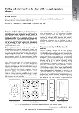 Building Molecular Wires from the Colours of Life: Conjugated Porphyrin Oligomers