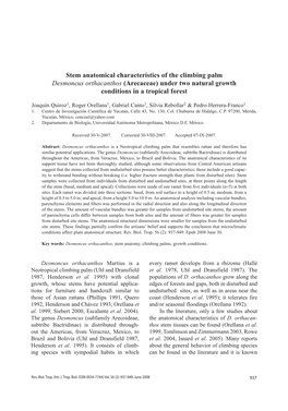 Stem Anatomical Characteristics of the Climbing Palm Desmoncus Orthacanthos (Arecaceae) Under Two Natural Growth Conditions in a Tropical Forest