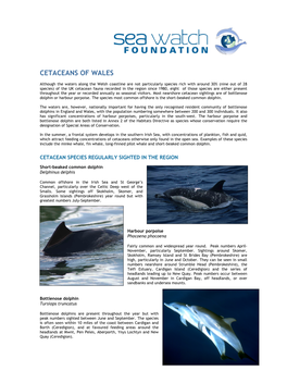 Cetaceans of Wales