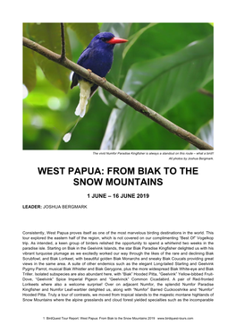 West Papua: from Biak to the Snow Mountains