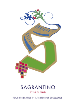 Sagrantino Trail & Taste
