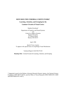 HOW DOES the CEREBRAL CORTEX WORK? Learning, Attention, and Grouping by the Laminar Circuits of Visual Cortex