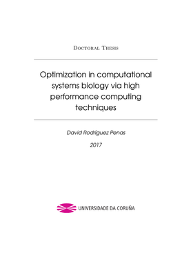 Optimization in Computational Systems Biology Via High Performance Computing Techniques
